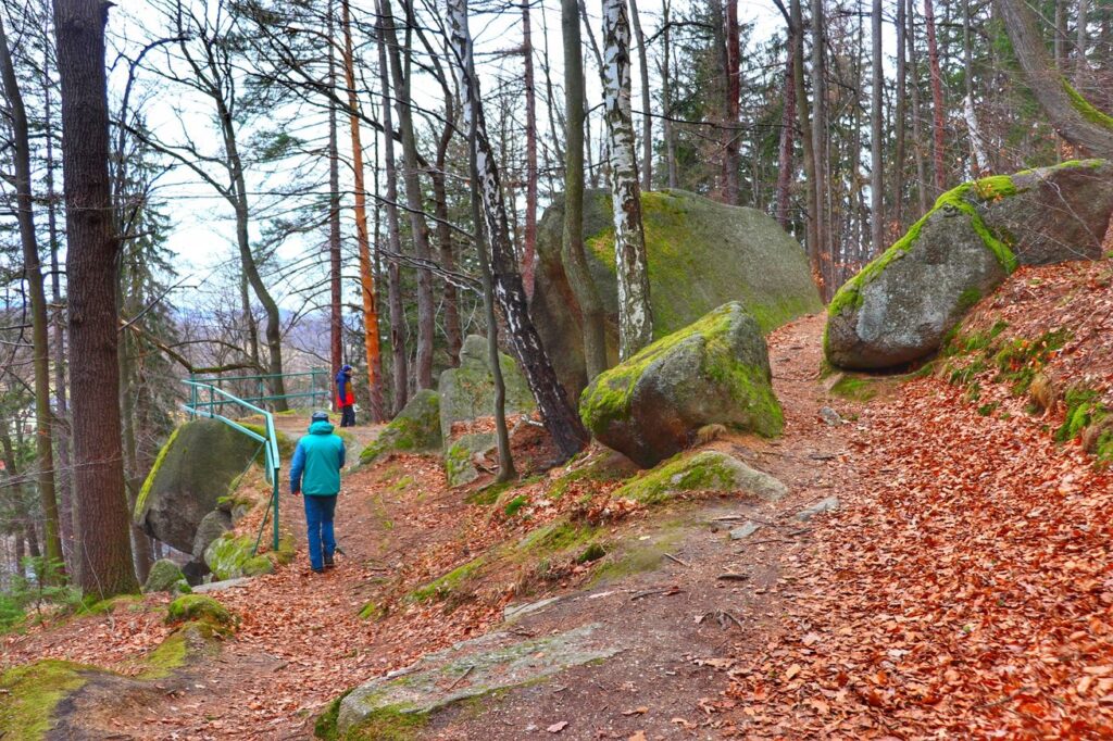Turyści, las, skały - szlak żółty na Górę Witosza, Karkonosze