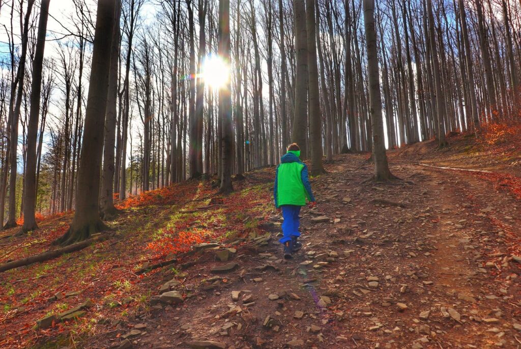Dziecko, pnąca się w górę droga leśna na szlaku czerwonym w Jaworzu Nałęże