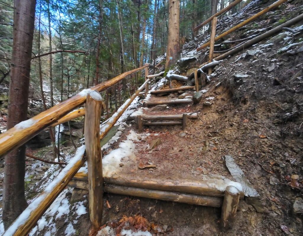 Las, drewniane schody prowadzące do Wodospadu na Potoku Mosornym, Zawoja