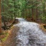 Mostek na żółtym szlaku w Karpaczu, szeroka droga leśna, oblodzenie