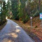 Szeroka, asfaltowa droga leśna, Sopotnia Wielka, szlak niebieski