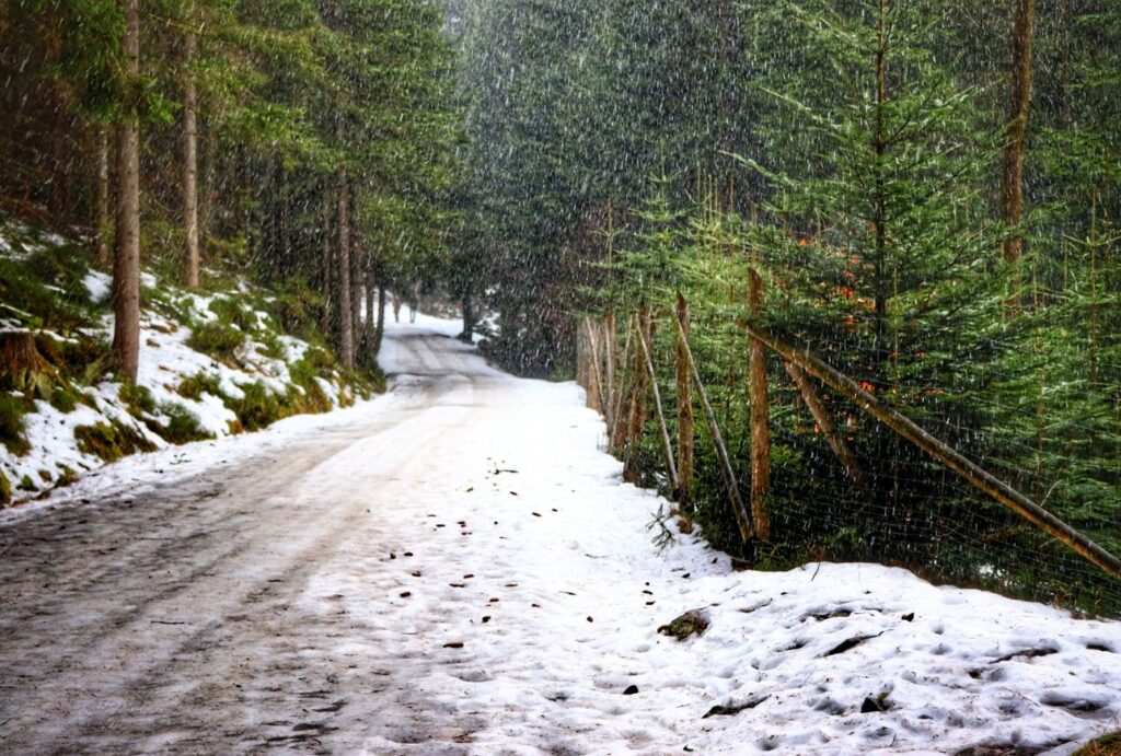 Szeroka droga leśna, śnieg