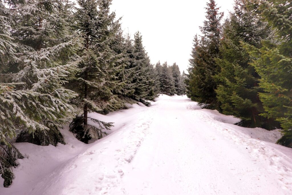 Szeroka i zaśnieżona droga, Karkonosze
