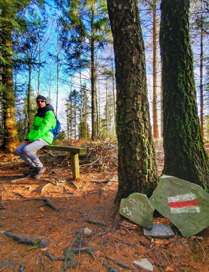 Turysta odpoczywający na drewnianej ławce na szczycie Czupel na szlaku czerwonym w Beskidzie Śląskim, las