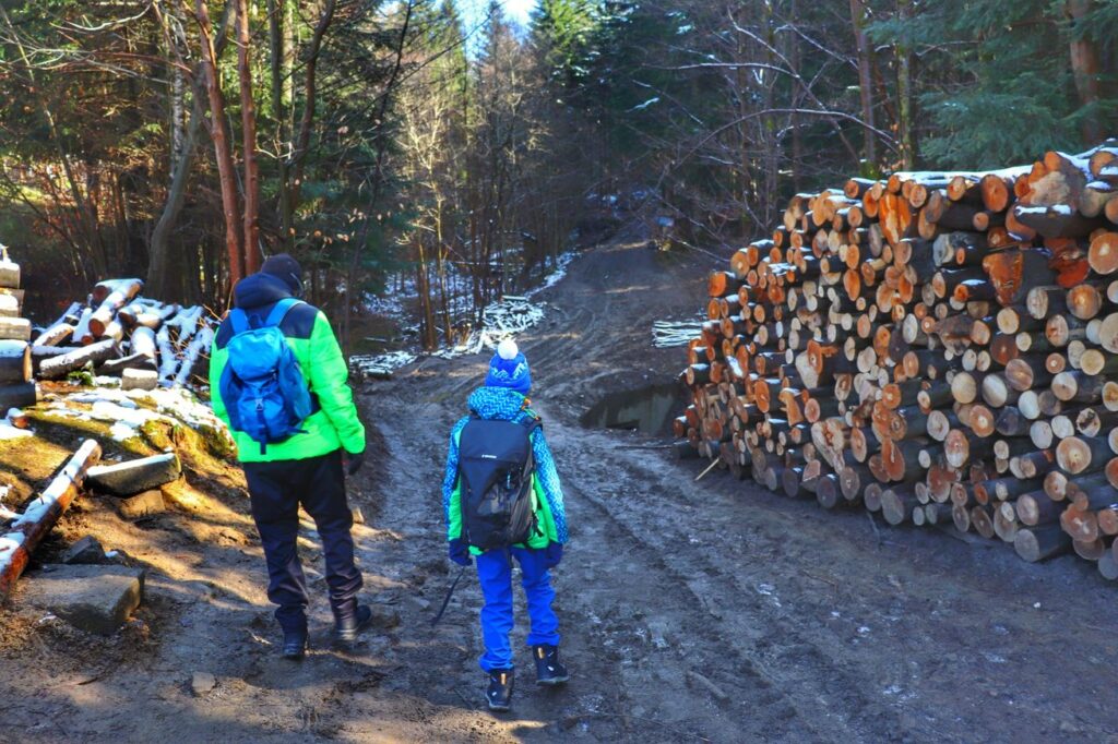 Turysta z dzieckiem, szeroka droga leśna, Zawoja - szlak niebieski