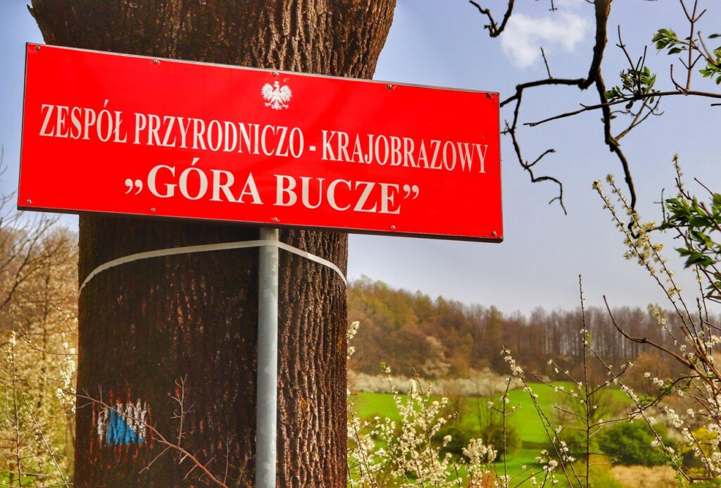 Czerwona tablica, ZESPÓŁ PRZYRODNICZO-KRAJOBRAZOWY "GÓRA BUCZE" na Pogórzu Cieszyńskim 