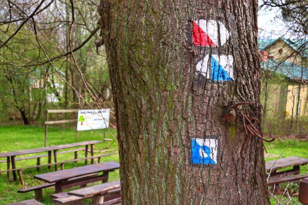 Bacówka Bucze, oznaczenie na drzewie szlaku niebieskiego i szlaku czerwonego