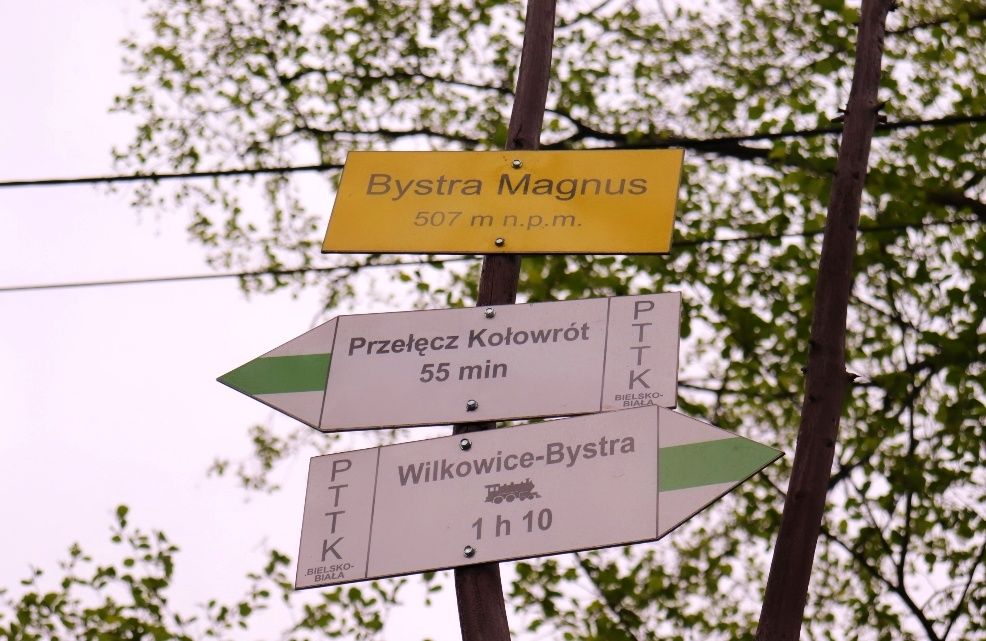 Żółta tabliczka - Bystra Magnus, słup z drogowskazami - szlak zielony