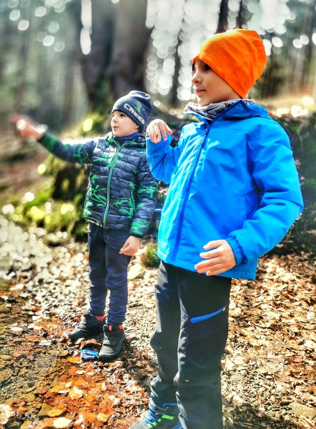 Dzieci, las w Bystrej Śląskiej 