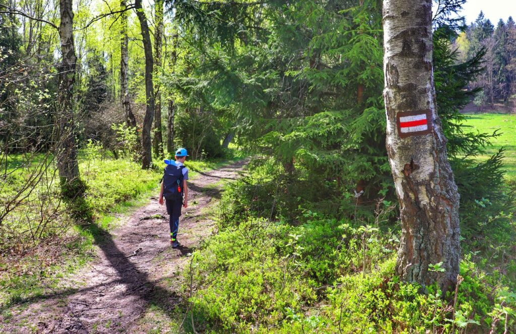 Dziecko na ścieżce leśnej na szlaku czerwonym w Buczkowicach, wiosenny i słoneczny dzień