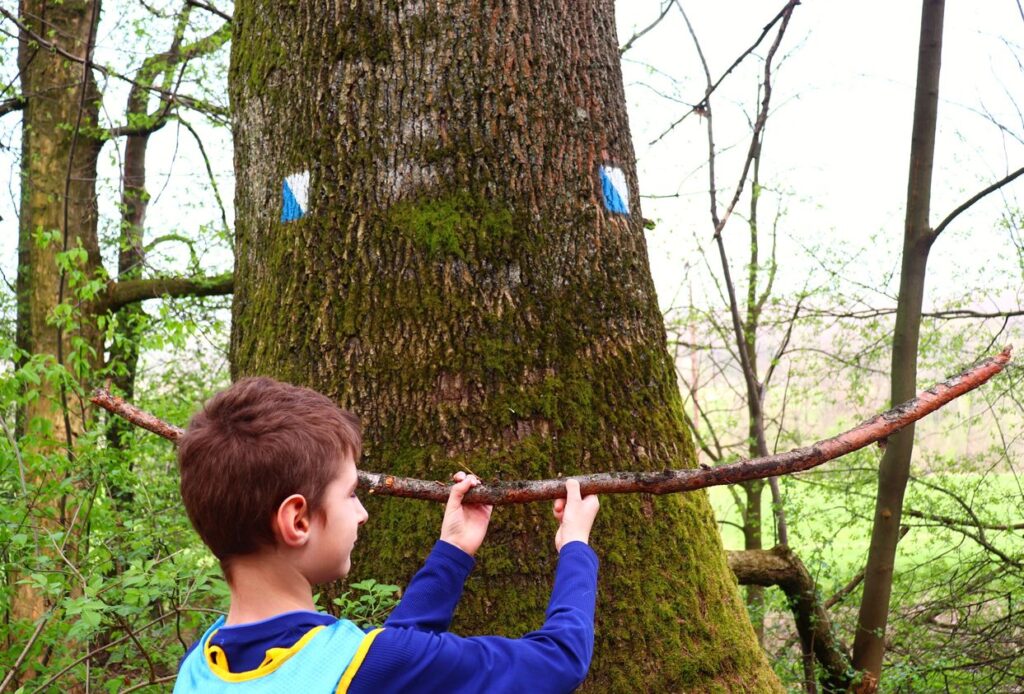 Dziecko na szlaku niebieskim w Górkach Wielkich, SZLAK KAMYKA, drzewo