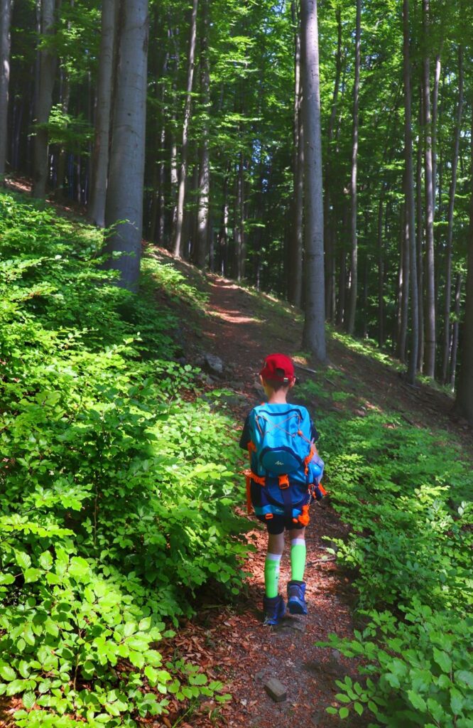 Dziecko, ścieżka leśna, szlak niebieski - Rezerwat Przyrody Zasolnica w Beskidzie Małym