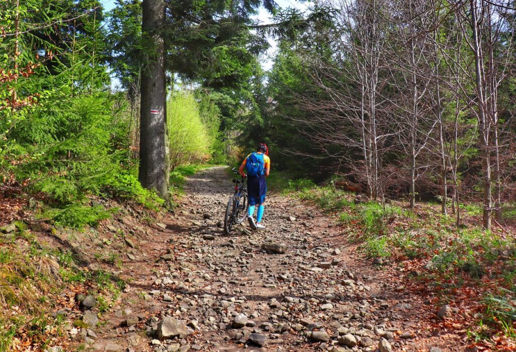 Kamieniste podejście na czerwonym szlaku w Beskidzie Małym, rowerzysta prowadzący rower, las