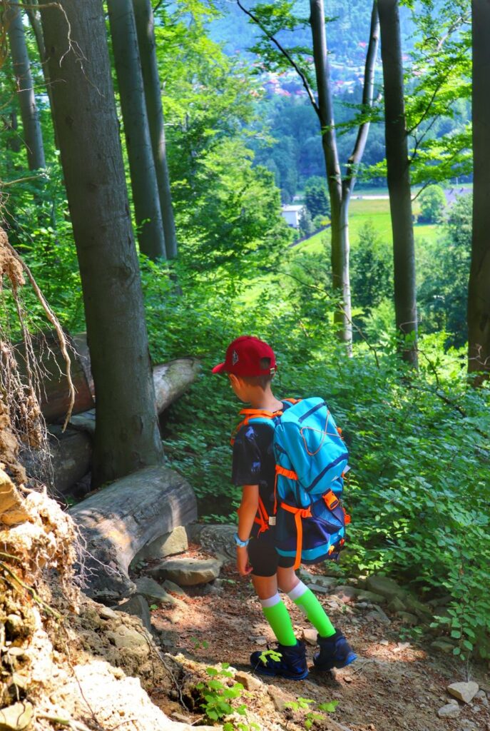 Mały turysta - dziecko, las, Rezerwat Przyrody Zasolnica