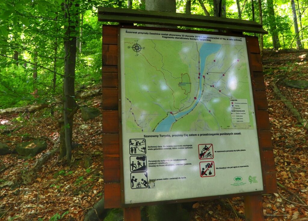 Mapa, Rezerwat Przyroda Zasolnica, las