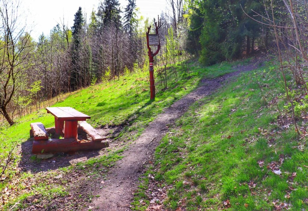 Miejsce wypoczynkowe na szlaku czerwonym w Buczkowicach, Zimnik pod Filipką 