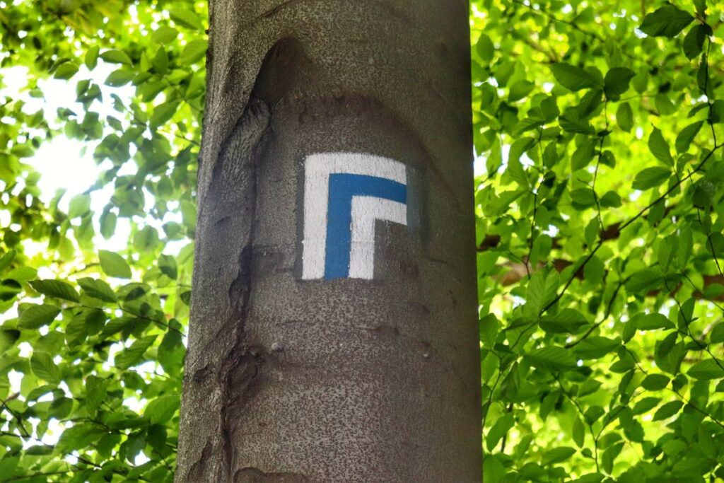 Oznaczenie na drzewie zmiany kierunku szlaku niebieskiego 
