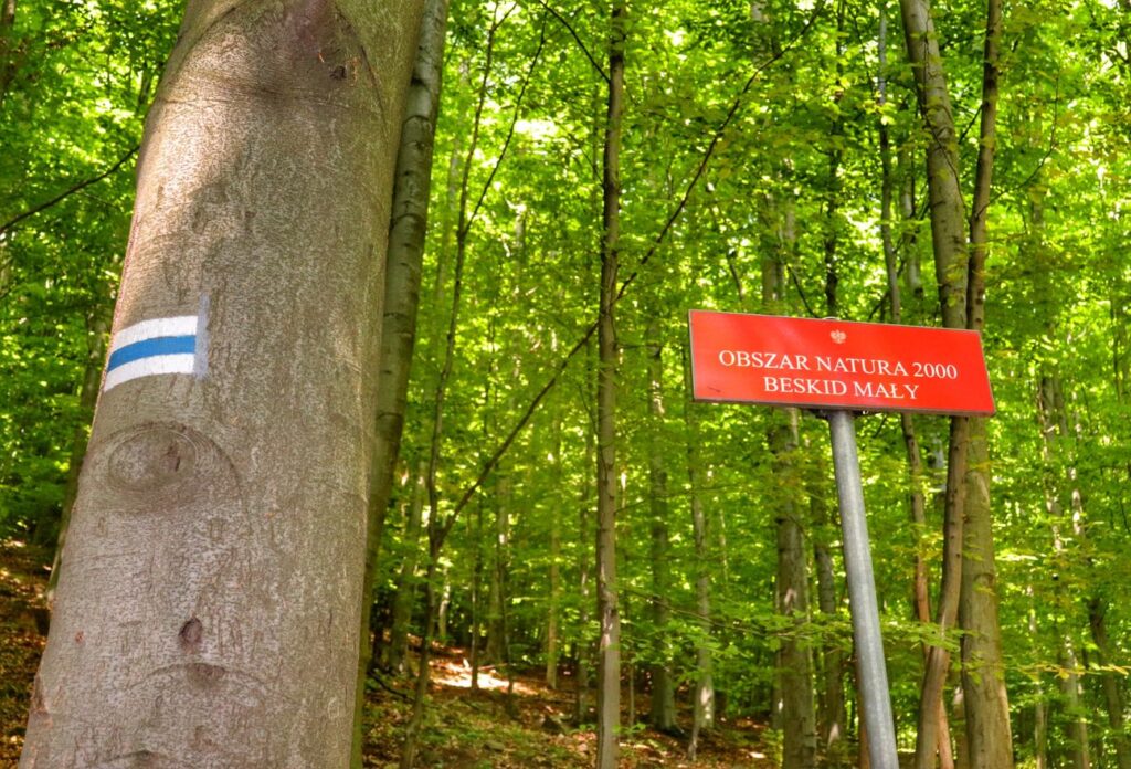 Rezerwat Przyrody Zasolnica, szlak niebieski, czerwona tablica - OBSZAR NATURA 2000 BESKID MAŁY