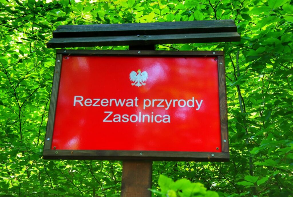 Czerwona tablica, Rezerwat Przyrody Zasolnica, Beskid Mały