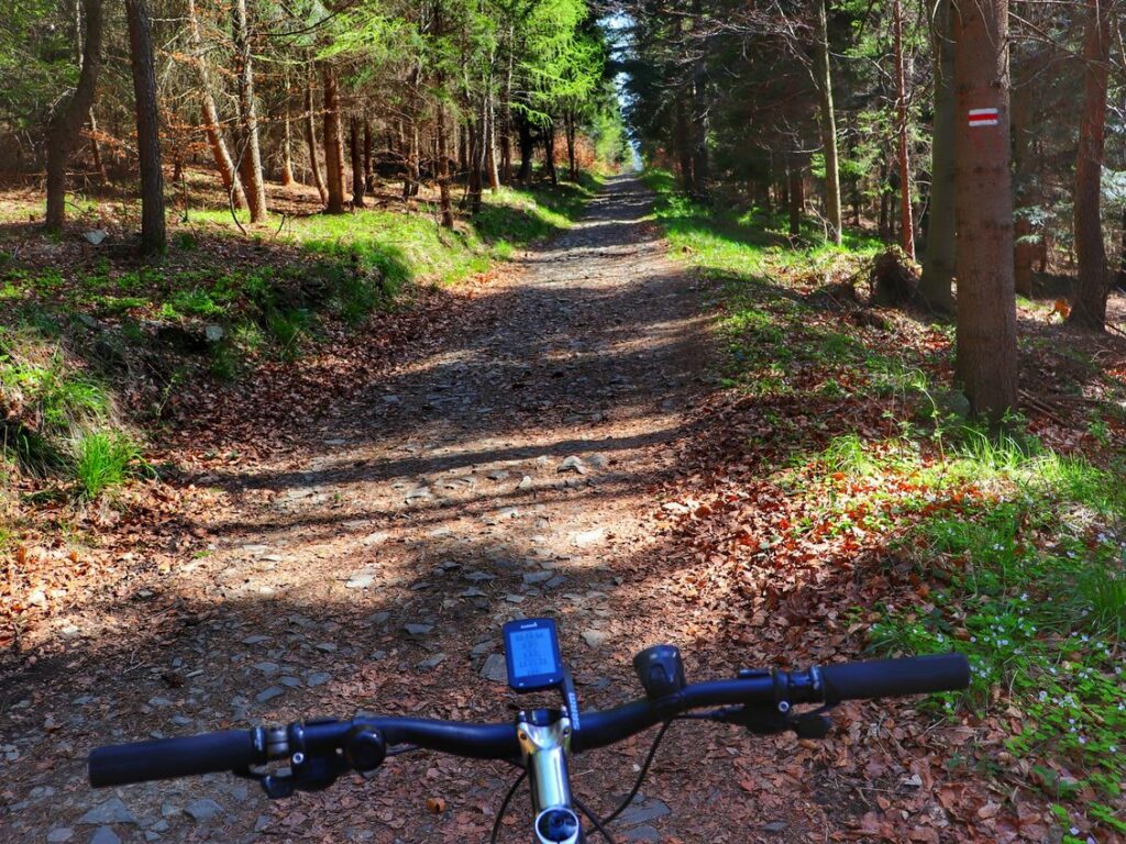 Rower, szlak czerwony, podjazd przez las - kierunek Gaiki