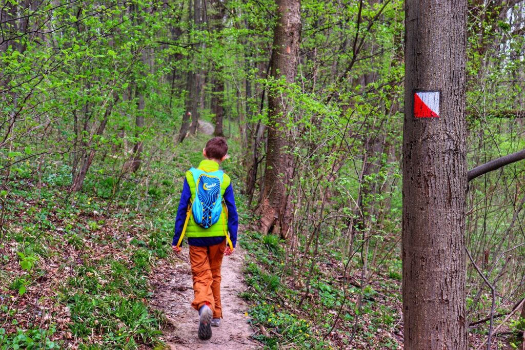 Ścieżka przyrodniczo-dydaktyczna po Górze Bucze, szlak czerwony, dziecko, wąska ścieżka leśna