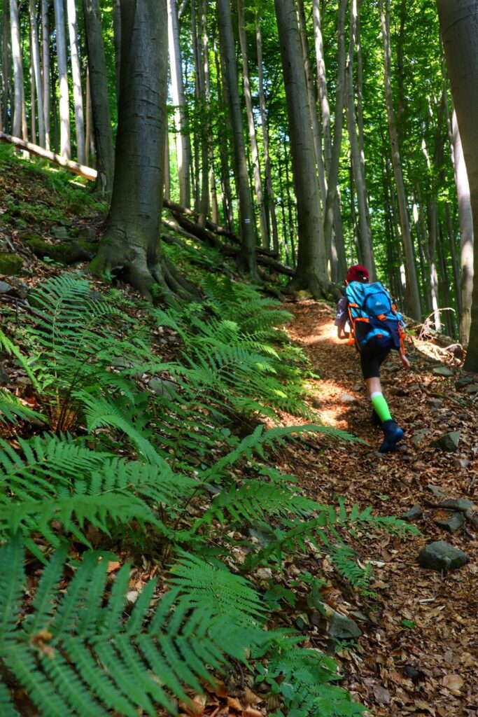 Dziecko, stroma ścieżka leśna na niebieskim szlaku - Rezerwat Przyrody Zasolnica w Beskidzie Małym