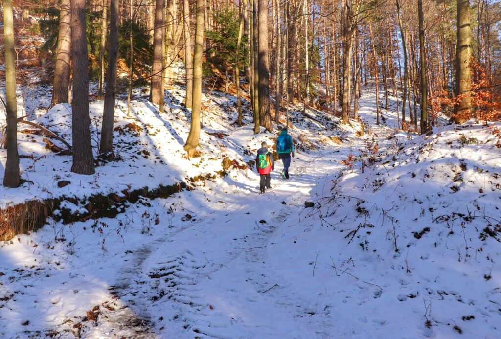 Szeroka droga leśna, turyści - dziecko z tatą, śnieg
