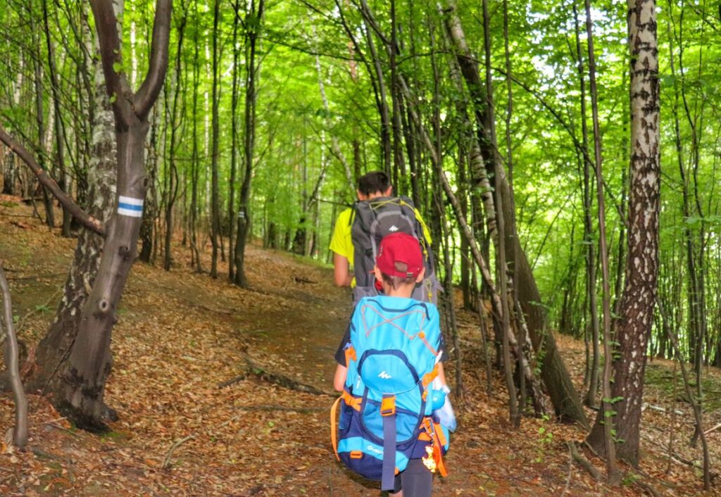 Turysta z dzieckiem, las, szlak niebieski - Rezerwat Przyrody Zasolnica