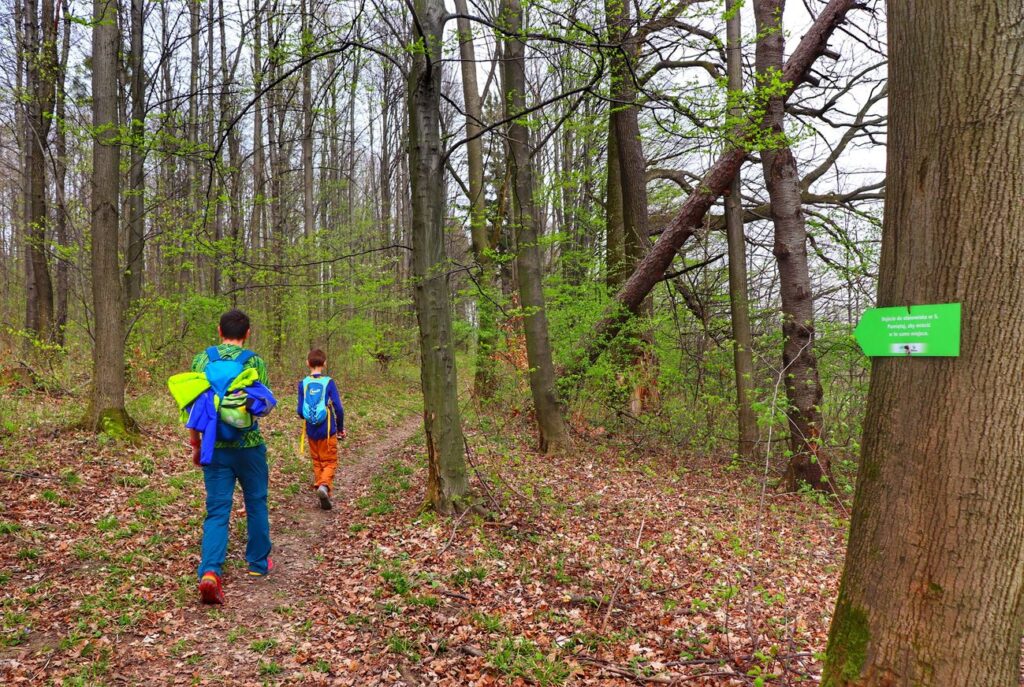 Turysta z dzieckiem, Góra Bucze, leśna ścieżka do stanowiska numer 5, polana widokowa 