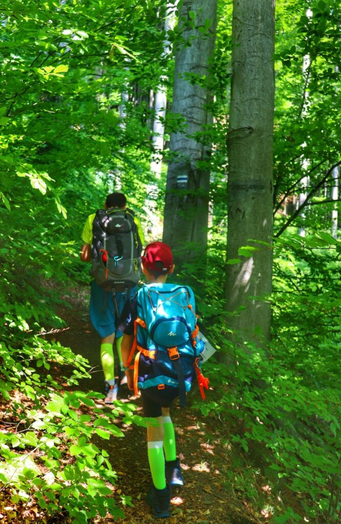 Turysta z dzieckiem, gęsty las, Rezerwat Przyrody Zasolnica w Beskidzie Małym