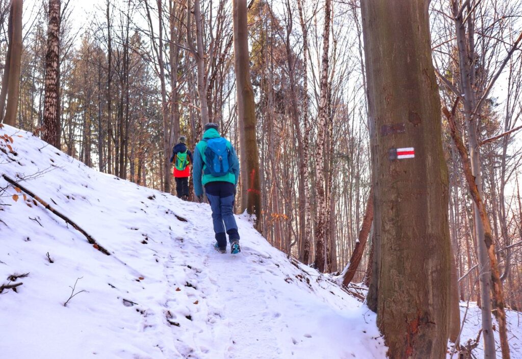 Turysta z dzieckiem, leśną ścieżka pnąca się w górę, szlak czerwony - Straconka