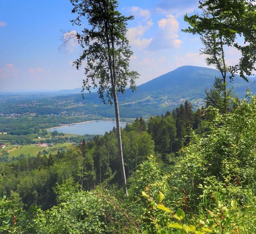 Rezerwat przyrody Zasolnica, Porąbka – Beskid Mały