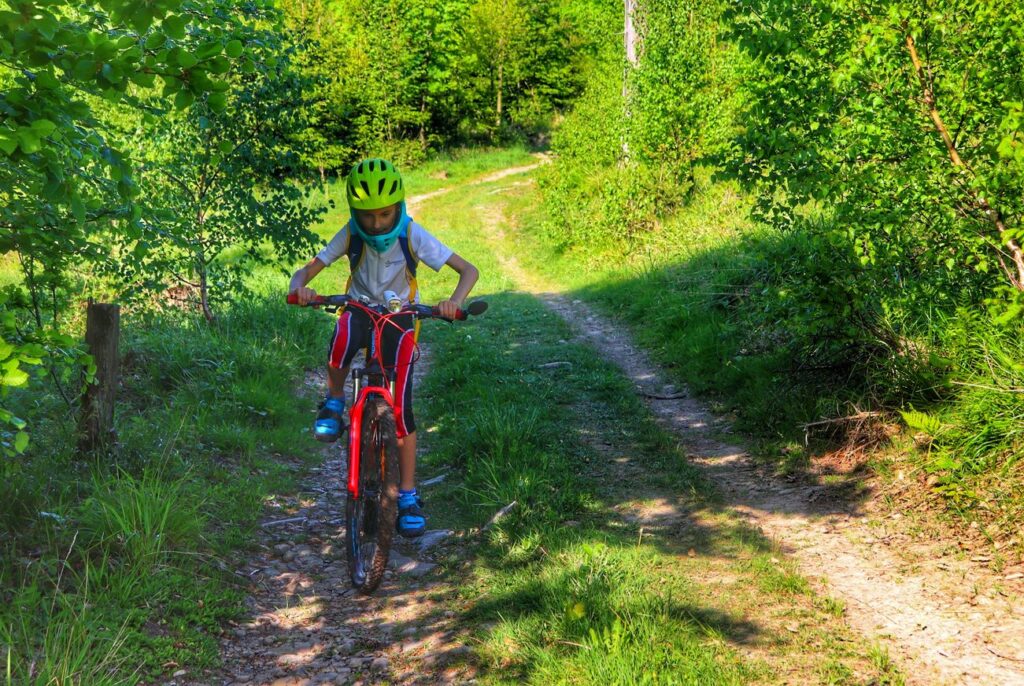 Dziecko na rowerze, Beskid Śląski, droga leśna