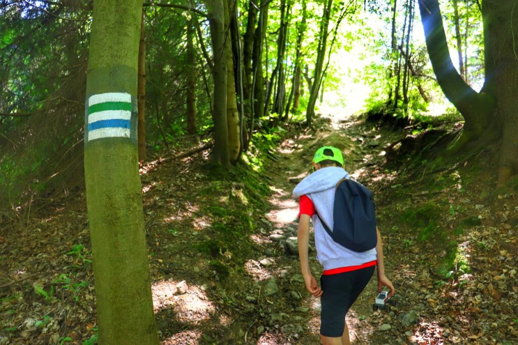 Dziecko, strome podejście przez las na zielonym szlaku na Orłową