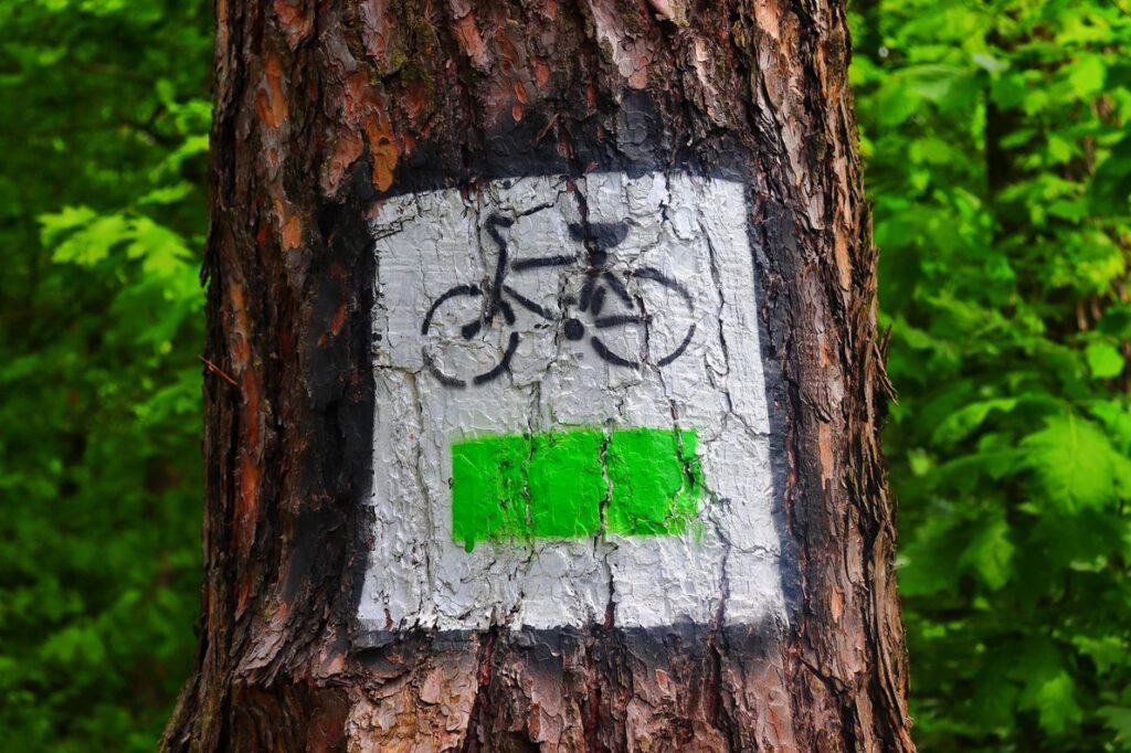 Oznaczenie szlaku zielonego rowerowego na drzewie