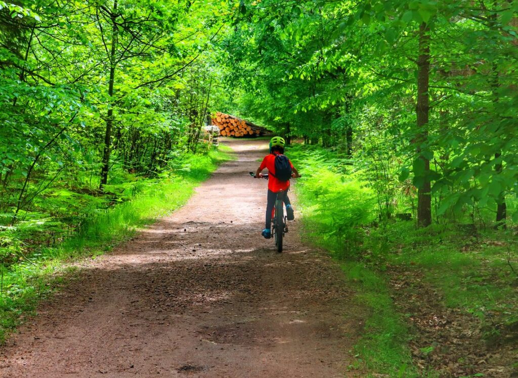 Dziecko na rowerze, zielony szlak rowerowy, Pojezierze Palowickie na Górnym Śląsku