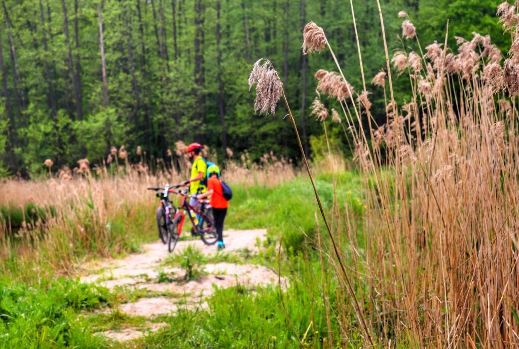 Pojezierze Palowickie na Górnym Śląsku- rowerzyści - dziecko z tatą