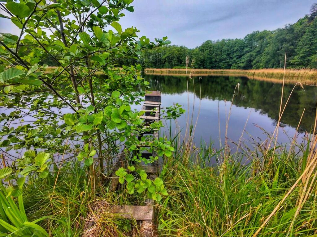 Górny Śląsk, Pojezierze Palowickie - staw, wiosenna zieleń