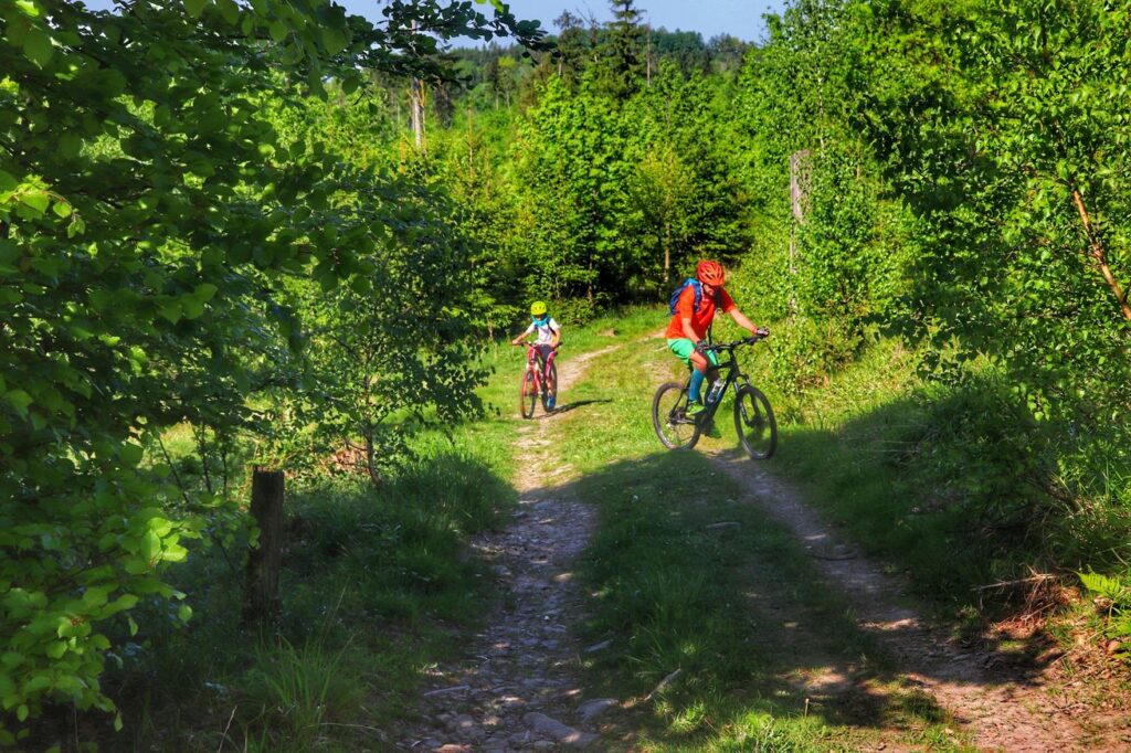 Rowerzyści - dziecko z tatą, droga leśna na żółtym szlaku spacerowym LEŚNYM idącym z Ustronia, słoneczny dzień