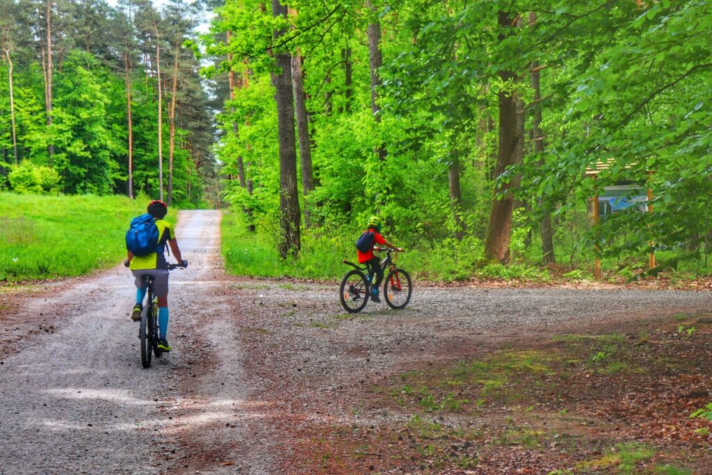 Rowerzyści, szlak zielony rowerowy w Szczejkowicach