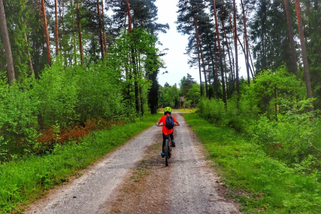 Rowerzysta na szerokiej drodze leśnej, Pojezierze Palowickie