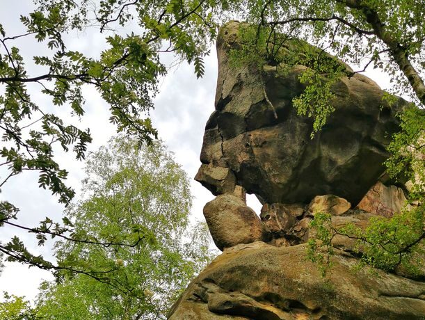 Rezerwat Prządki zdjęcia, trasa