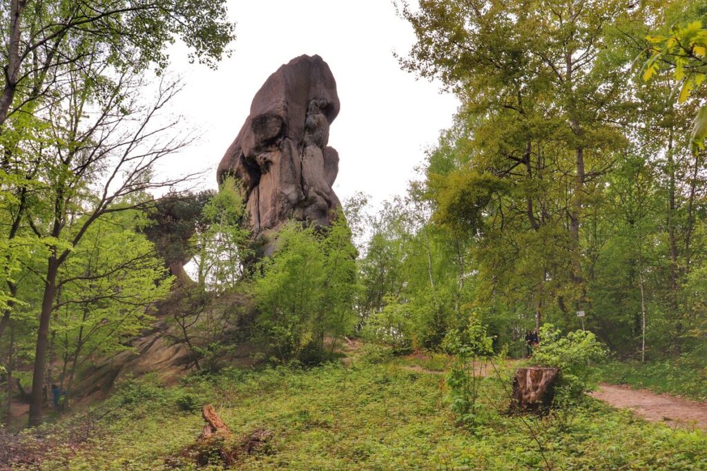 PRZĄDKA-BABA W REZERWACIE PRZYRODY PRZĄDKI