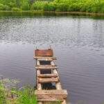 Staw Węglornik - Pojezierze Palowickie