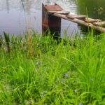 Staw Węglornik - Pojezierze Palowickie