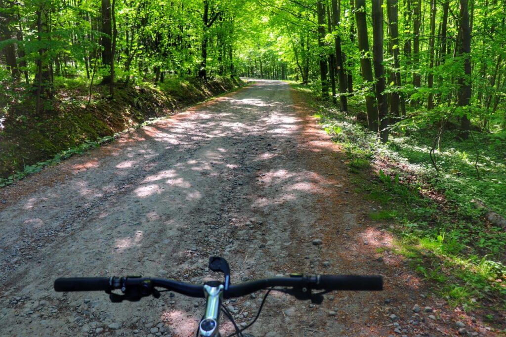 Szeroka droga leśna w Ustroniu na szlaku żółtym, rower, słoneczny dzień