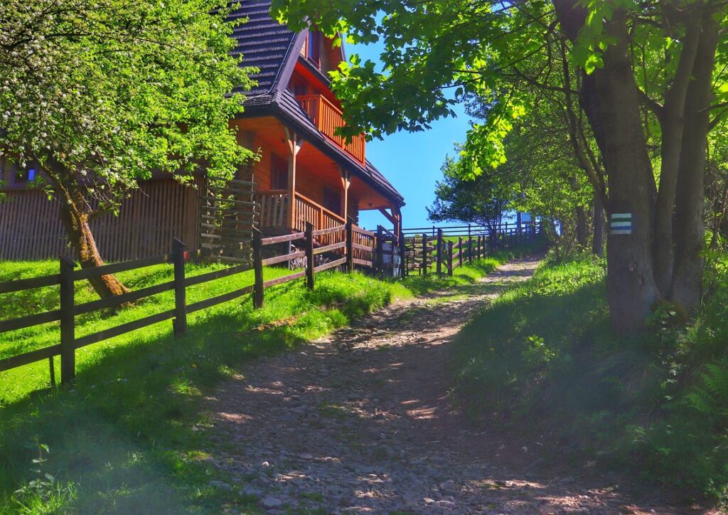Wiosna w Beskidzie Śląskim, szlak zielony - okolice Orłowej, drewniany dom, strome podejście