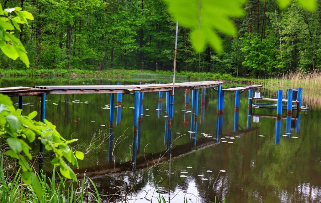 Wiosenny staw - Pojezierze Palowickie