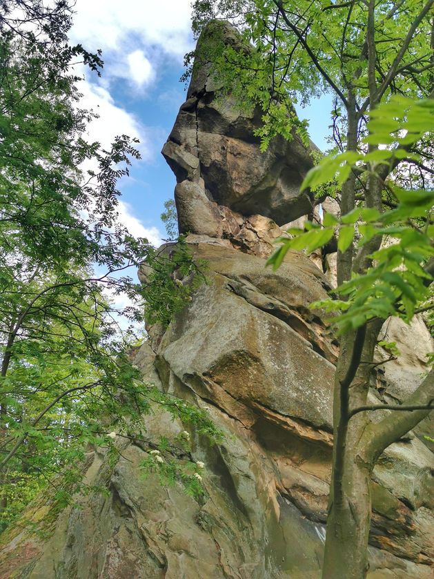 Prządka-Baba, Rezerwat przyrody Prządki