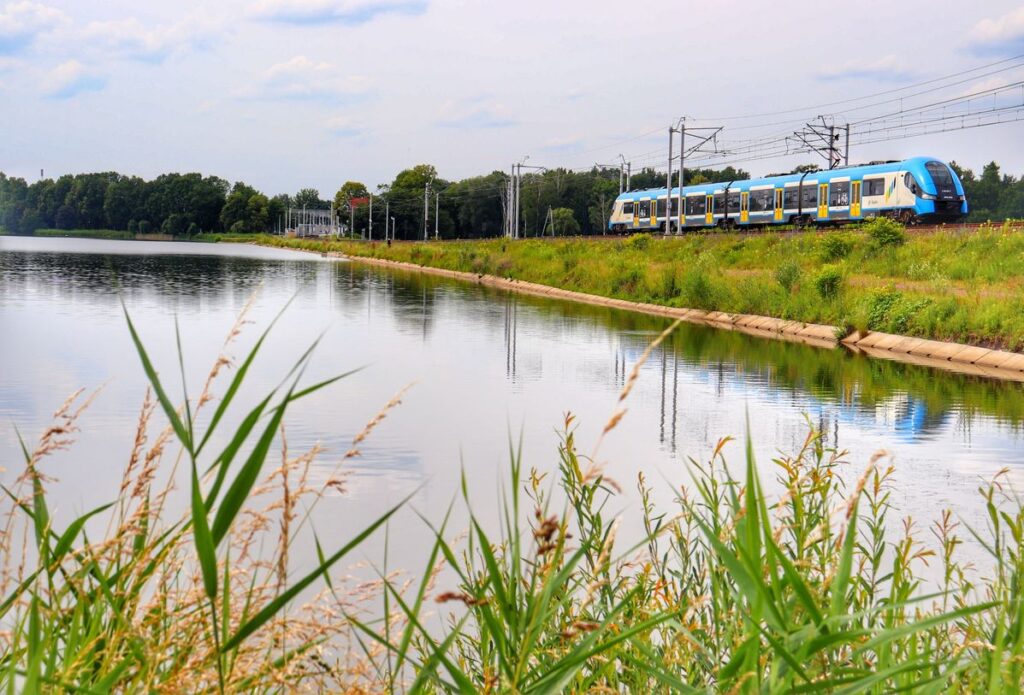 Staw Maciek, Goczałkowice-Zdrój, pociąg